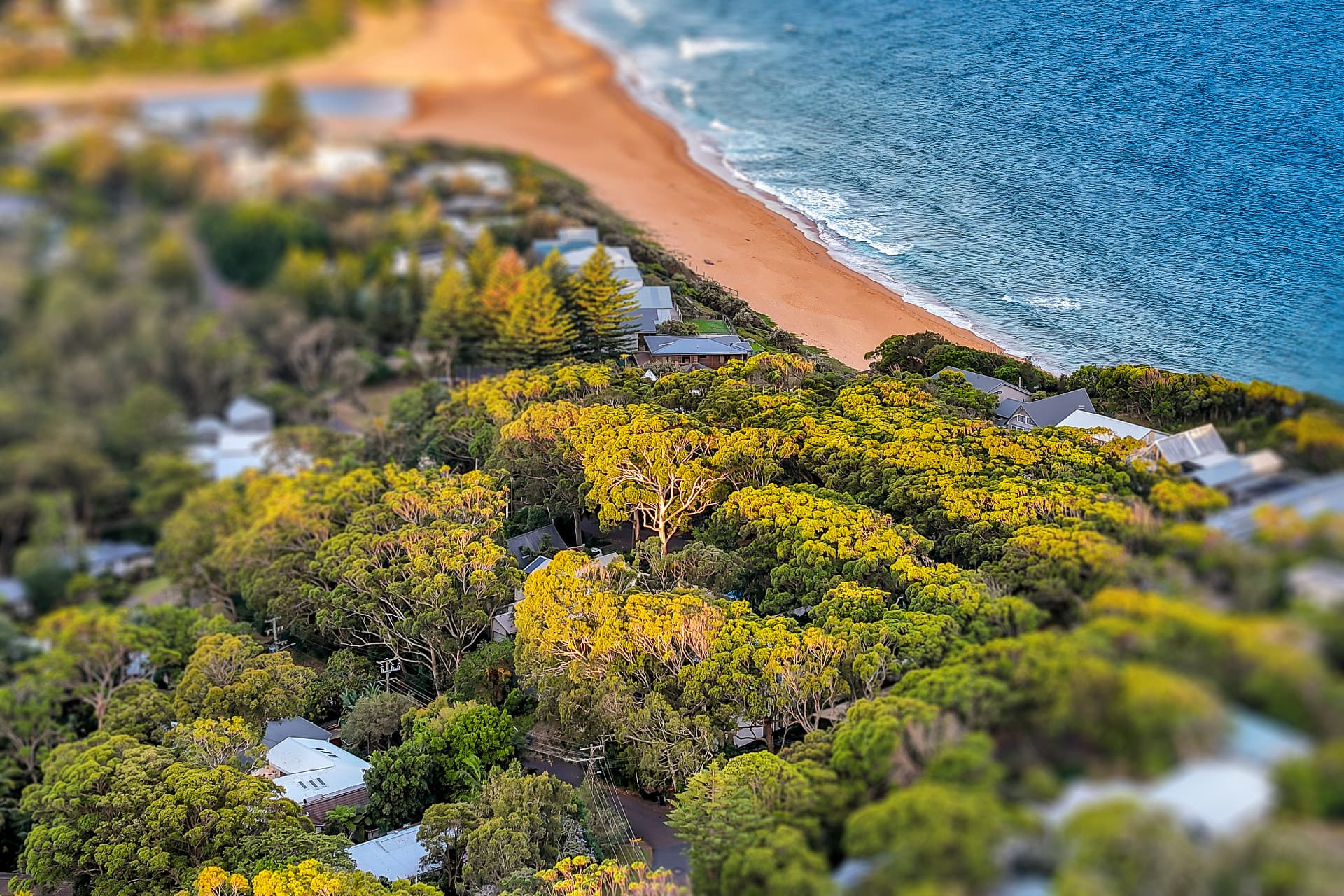 Aerial view of a beachside street on the Central Coast — real estate photography by Estate Media Co